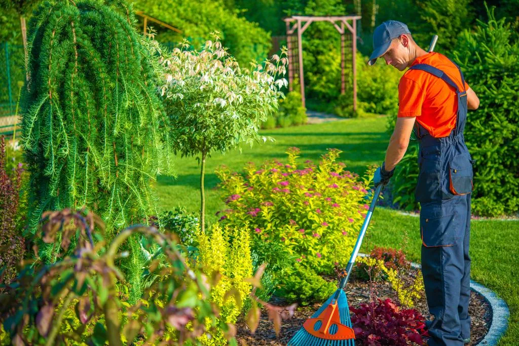 Manutenção de Jardins Urgente